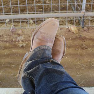 Meet your Posher, Luz